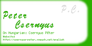 peter csernyus business card