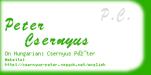 peter csernyus business card